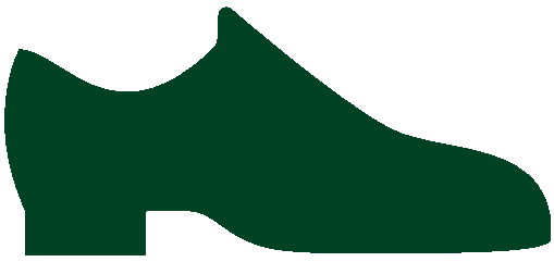 Shoe
